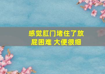 感觉肛门堵住了放屁困难 大便很细